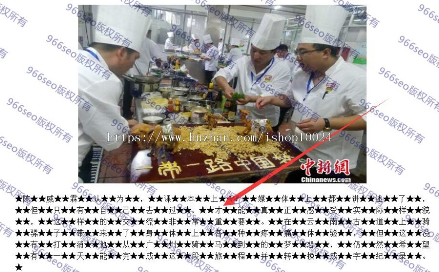 VG系列966SEO动态寄生虫/泛目录/站群/蜘蛛池-超级变种动静结合括号版-收录超级骚