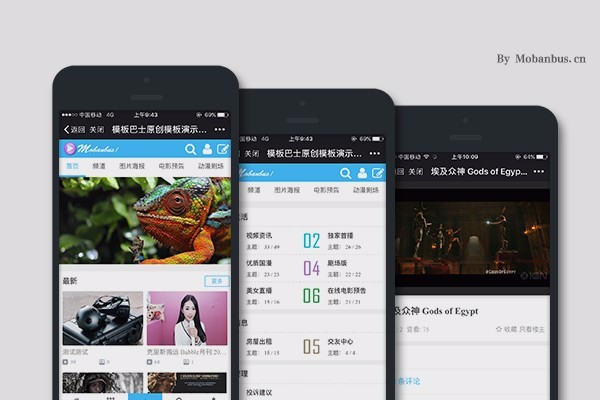 discuz 整站程序 二次元动漫C风格 C风格门户版1.1 带手机版源码
