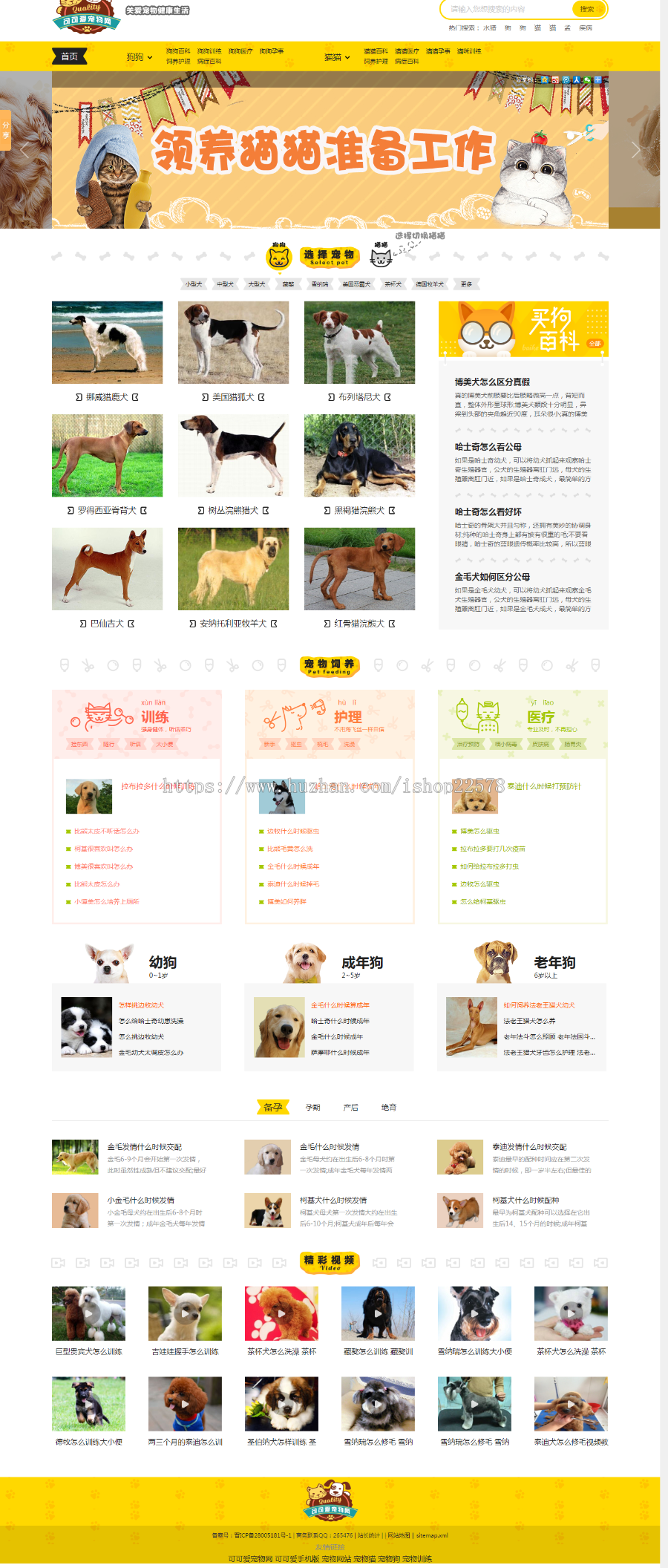 2019年 帝国CMS 仿《小可爱宠物网》源码 宠物狗猫品种资讯训练网站模板 手机版+采集