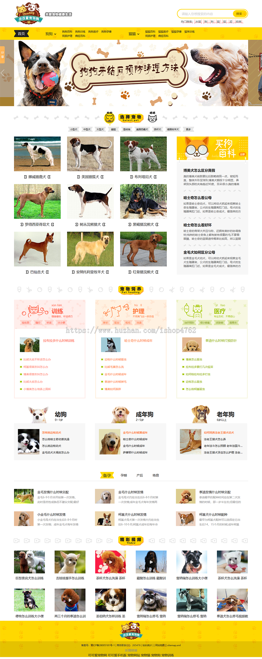 帝国cms仿《小可爱宠物网》宠物模板,宠物源码简洁大气带手机同步插件和采集