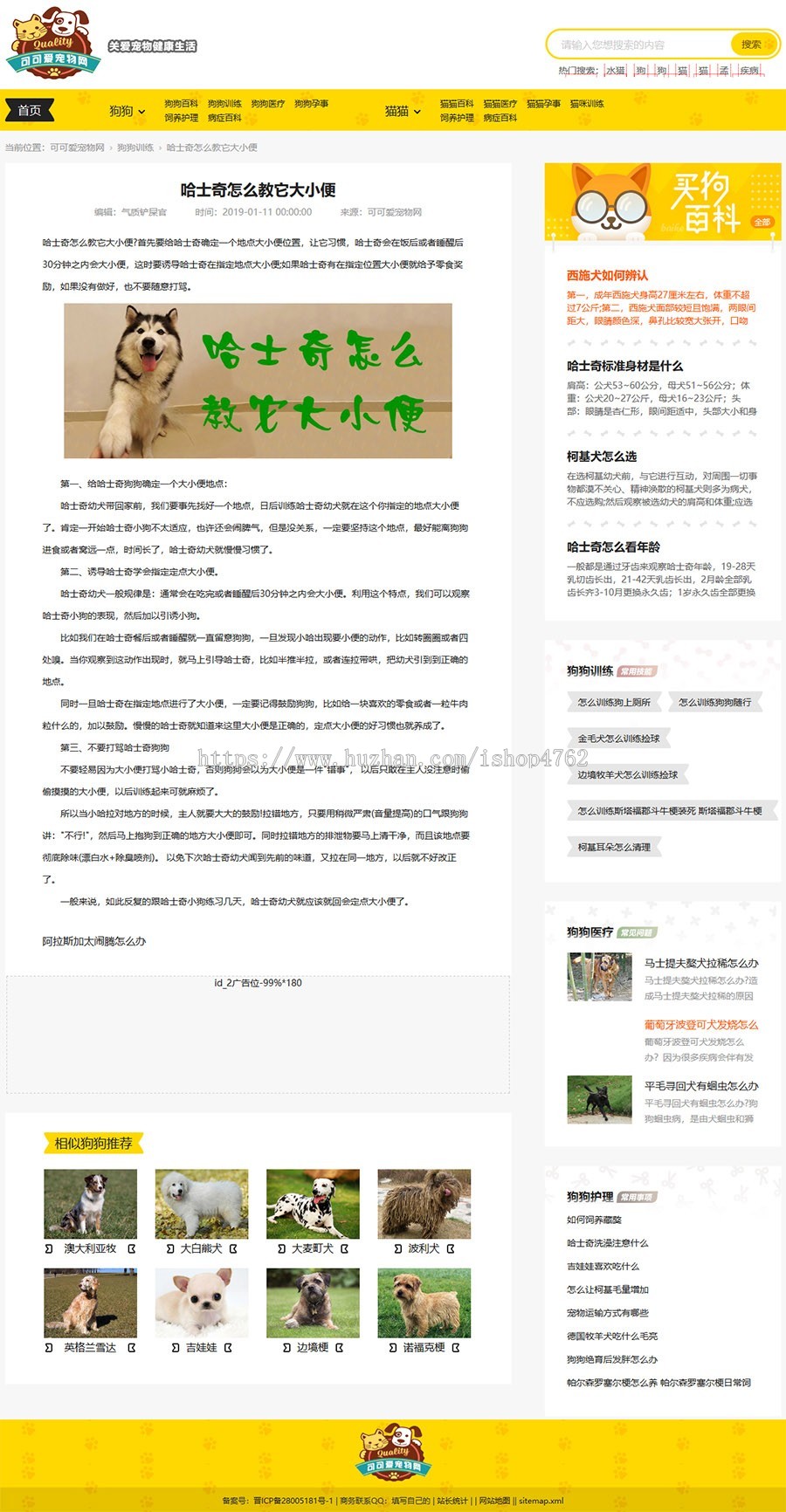帝国cms仿《小可爱宠物网》宠物模板,宠物源码简洁大气带手机同步插件和采集