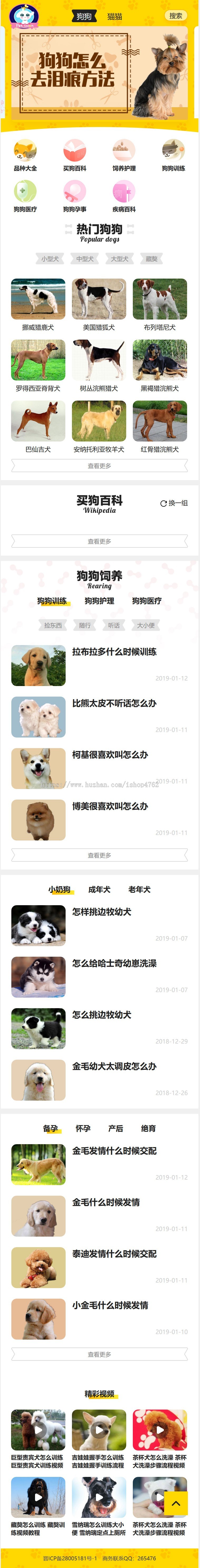 帝国cms仿《小可爱宠物网》宠物模板,宠物源码简洁大气带手机同步插件和采集