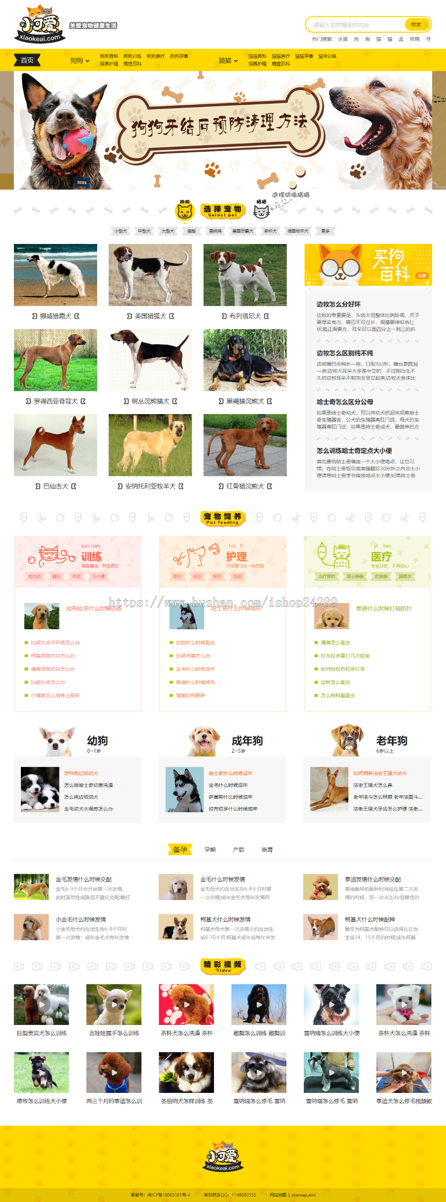 仿《小可爱宠物网》源码 宠物狗猫品种资讯训练网站模板 手机版+采集