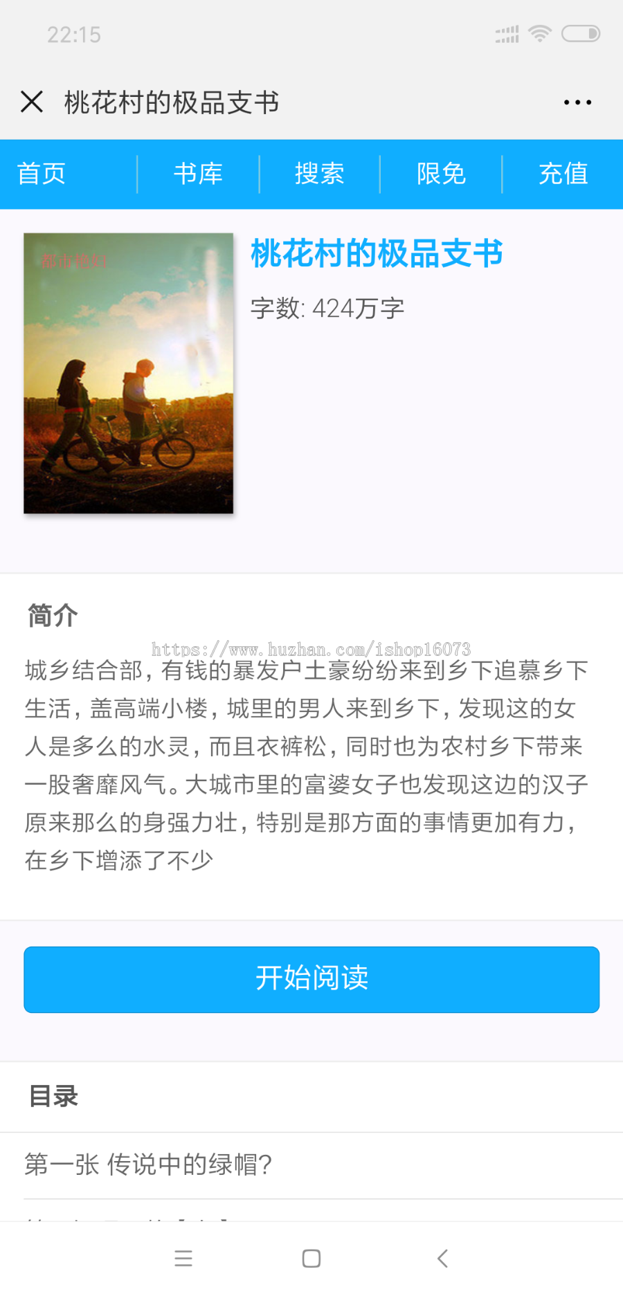 二开原创小说CPS分销系统