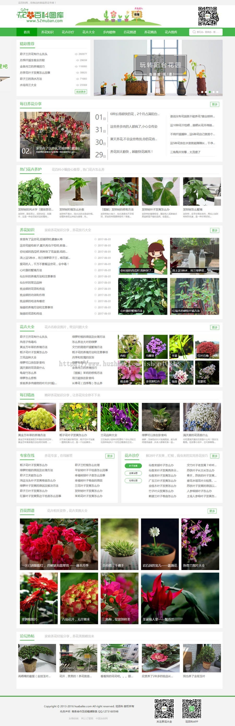 仿《花百科》专业养花站养花资讯新闻帝国CMS源码模板