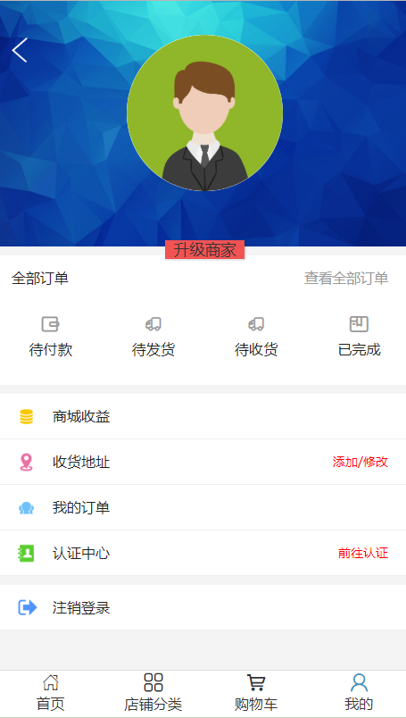 区块链Vpay虚拟币-可直接运营Vpay微派商城版/Vpay完整源码