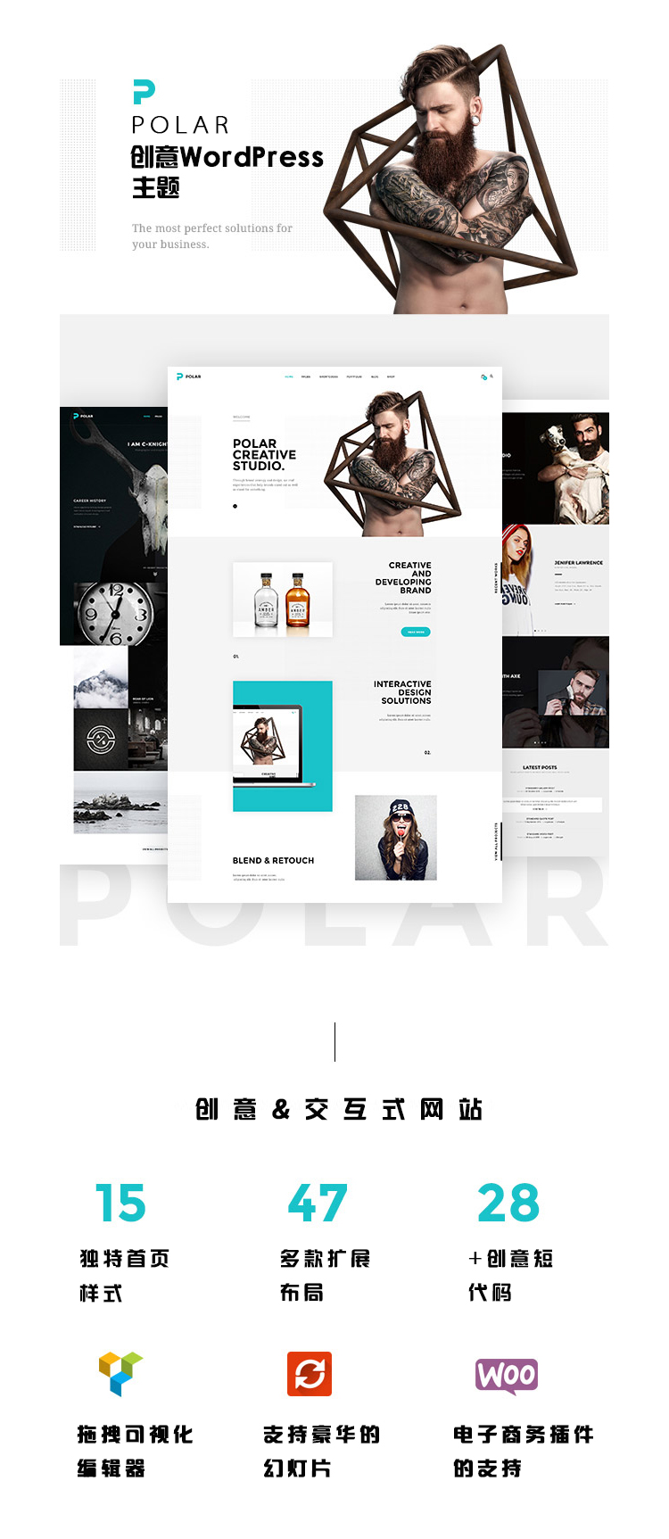 Polar 创意设计wordpress汉化主题 模板源码 企业建站 自适应手机