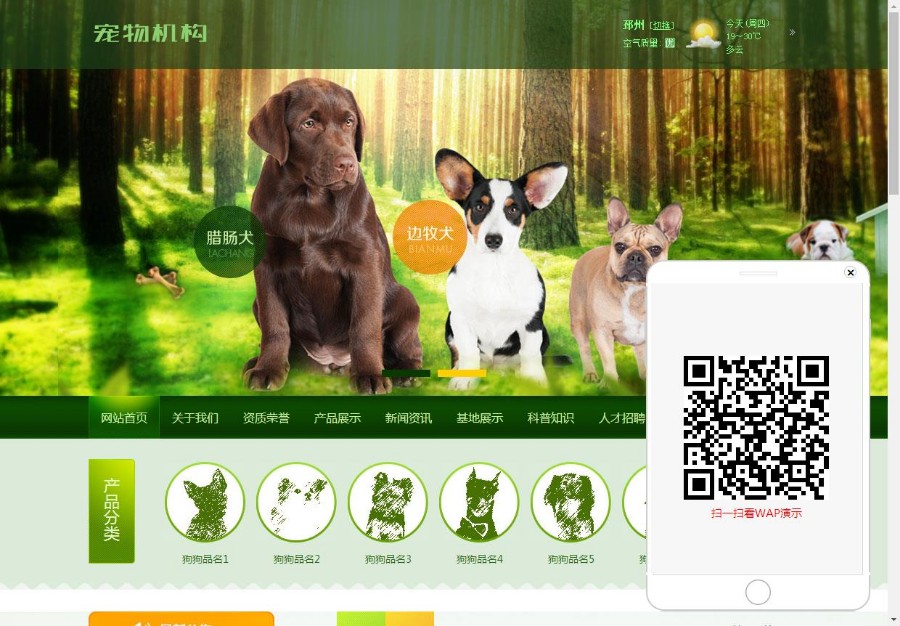 绿色宠物狗机构类网站织梦模板(带手机端)