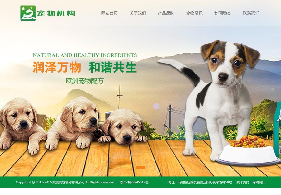 宠物动物机构类网站织梦模板(带手机端)
