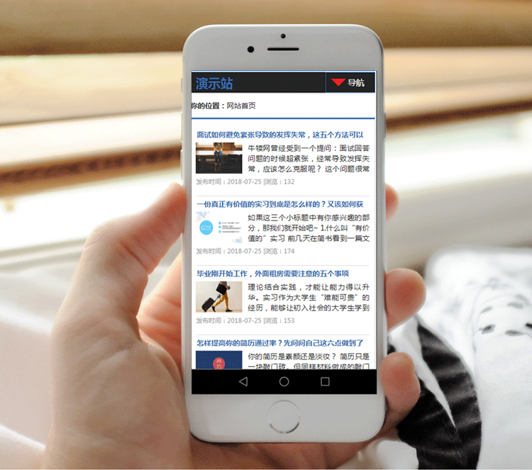 文章资讯网站模板响应式手机版个人博客网站源码织梦后台带整站数据