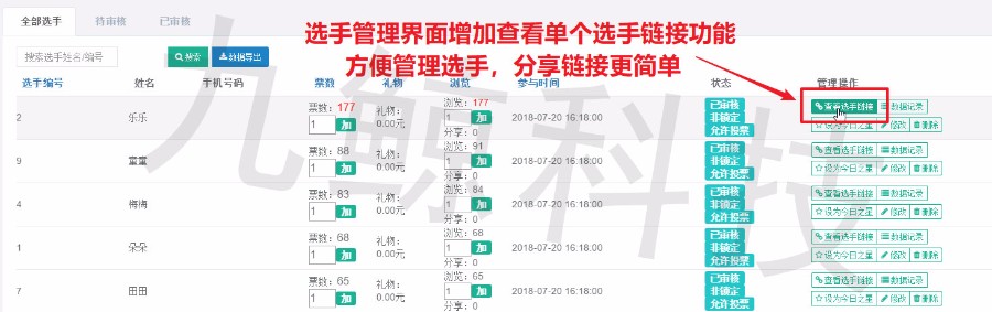 互联同城钻石投票系统运营版源码案例