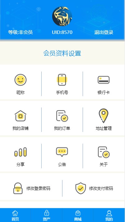 VPAY区块链商城