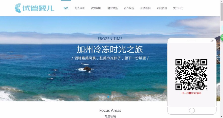 医疗试管婴儿响应式织梦模板(自适应手机端)@