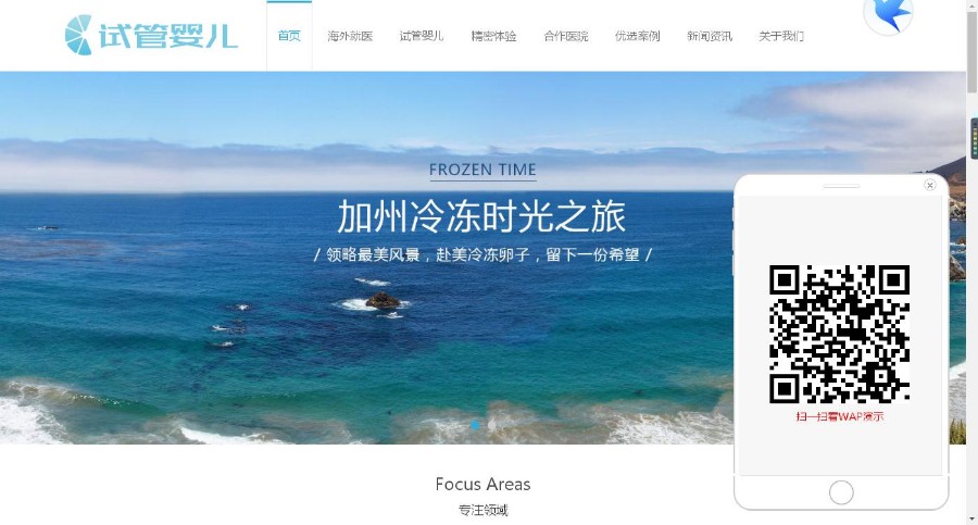 医疗试管婴儿响应式织梦模板(自适应手机端)