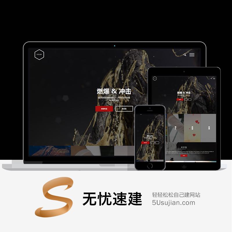 高端个人摄影作品展示、图片设计展示WordPress网站源码(带商店)