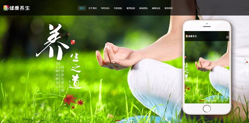 响应式经络养生健康类网站织梦模板(自适应手机端)完整数据带后台