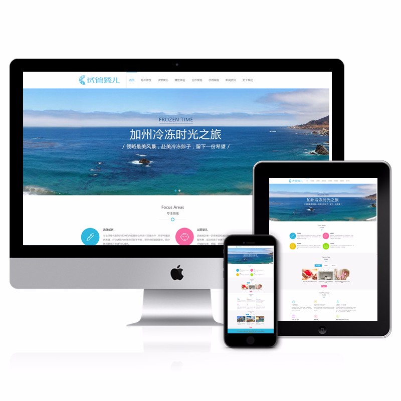 企业服务管理公司响应式织梦模板（自适应手机端）