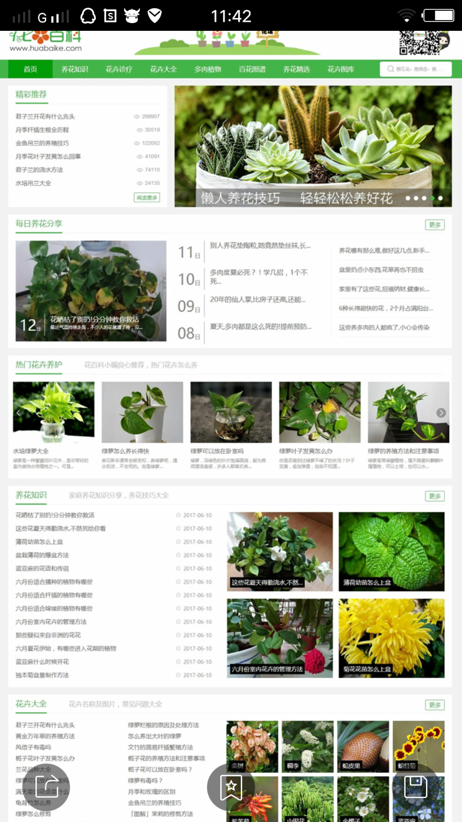 92kaifa 《花百科》专业养花站 庭养花技巧及花卉图片 带手机版 带采集