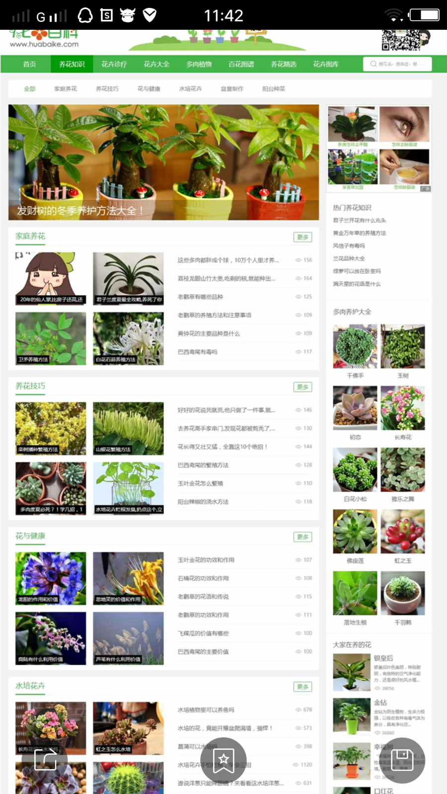 92kaifa 《花百科》专业养花站 庭养花技巧及花卉图片 带手机版 带采集