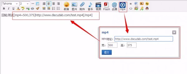 【新春促销】Discuz/DZ/论坛插件/网站源码/mp4播放 PC手机二合一1.2 