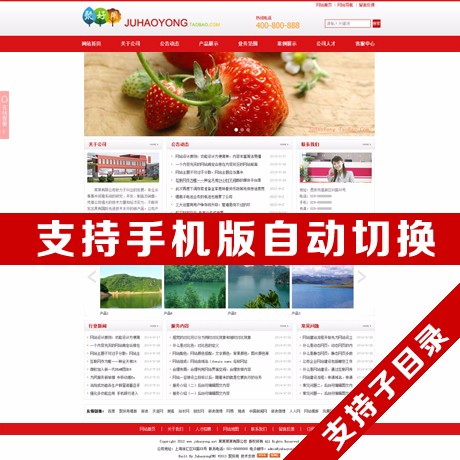 电脑+html5手机版巨好用企业网站模板asp源码静态支持子目录 红色