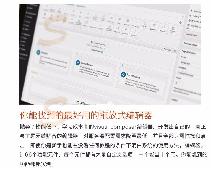 高端个人摄影作品展示、图片设计展示WordPress网站源码(带商店)