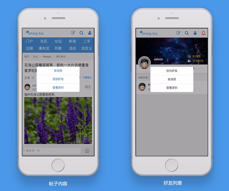 discuz模板 say手机触屏商业版 dz分类信息论坛模板[带管理插件] 