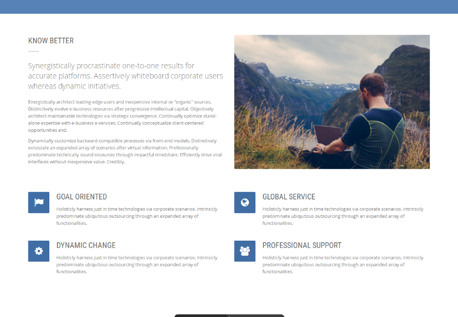 蓝色商务软件开发公司企业集团官网模板