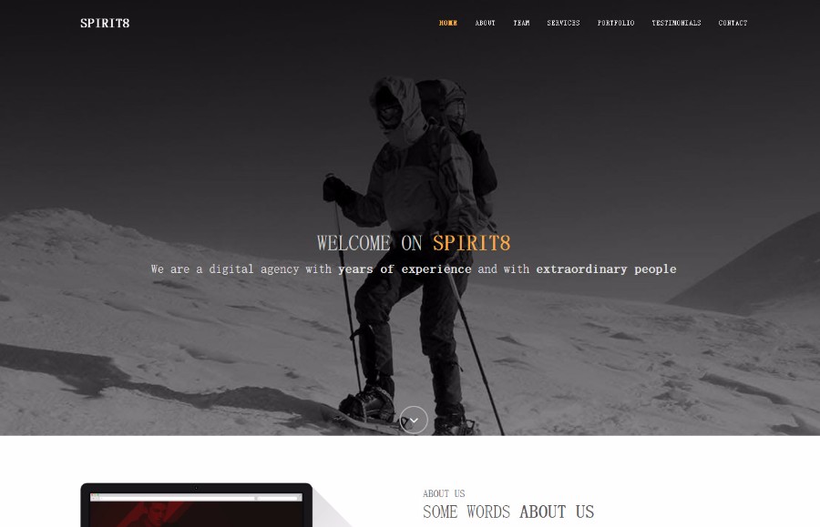 SPIRIT8-IT电脑设计公司主页模板