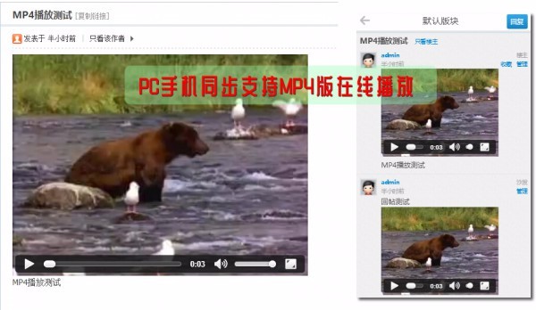 Discuz/DZ/论坛插件/网站源码/mp4播放 PC手机二合一1.2 
