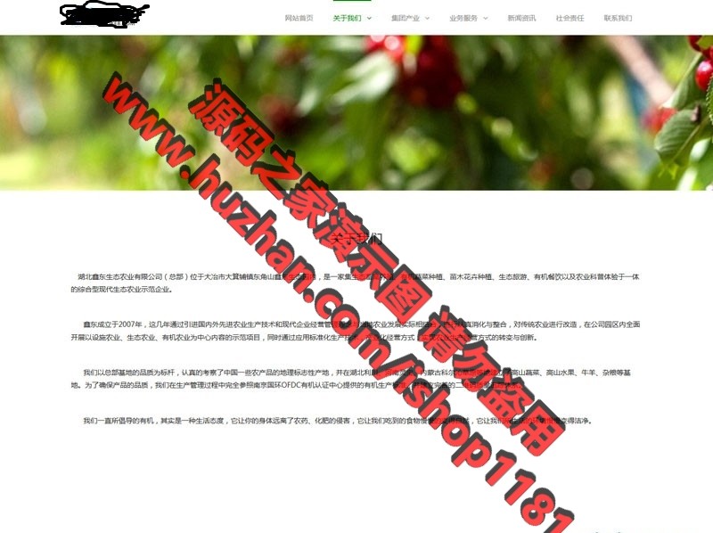 响应式绿色果蔬田园网站织梦模板+安装教程