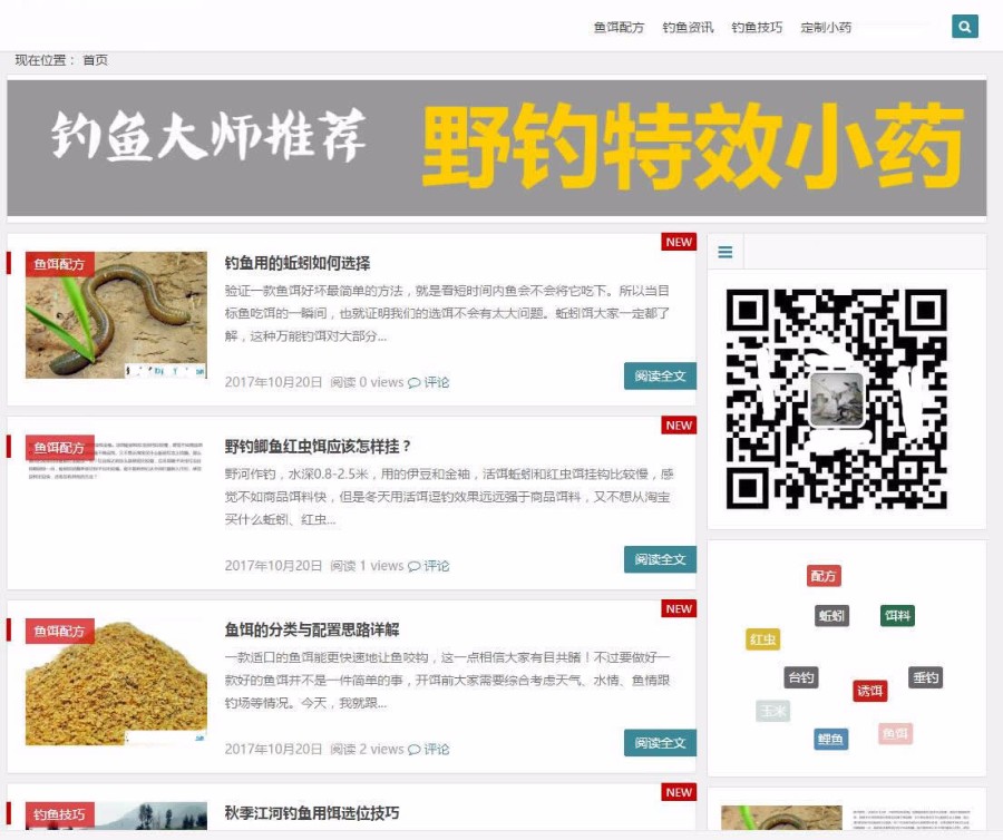 wordpress钓鱼技巧类文章资讯整站数据源码 