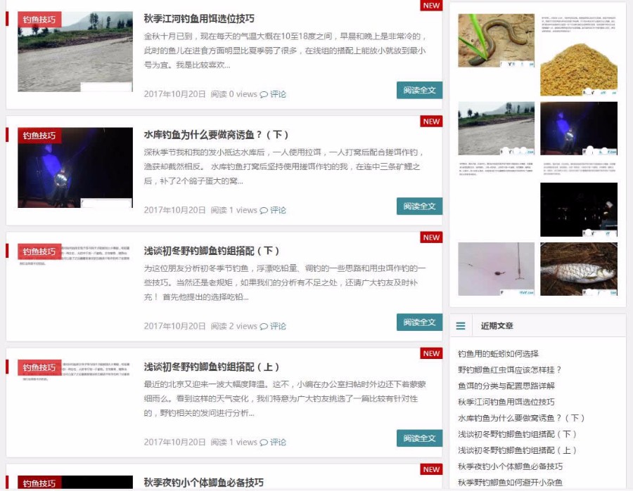 wordpress钓鱼技巧类文章资讯整站数据源码 