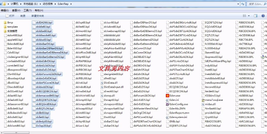 (限时特价)动态报表系统(经典珍藏-delphi源码+实施说明+SQL2000库)