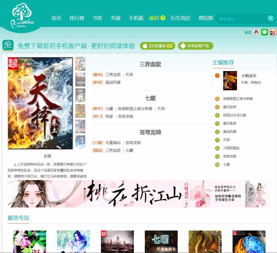 小说网站 杰奇程序 自动采集 带vip打赏