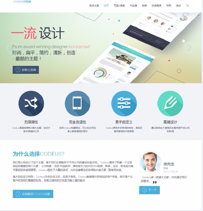 Codeus 多用途 wordpress汉化主题 企业网站源码 带自适应手机版 