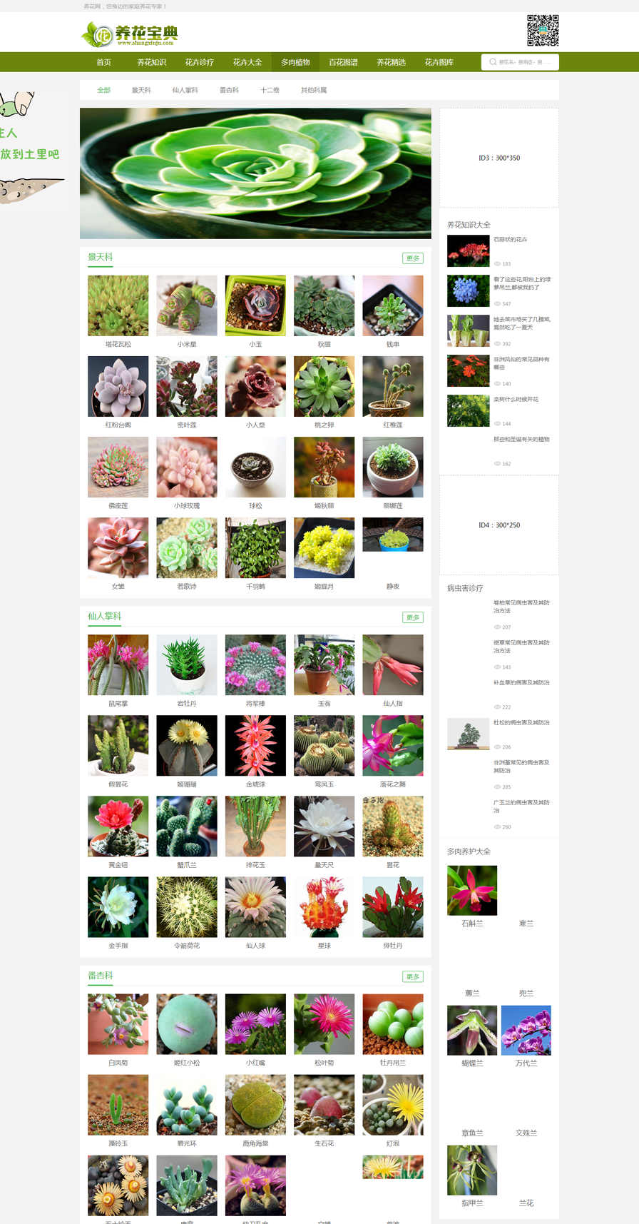 【SEO深度优化】高仿花百科花卉养殖网站源码仿花百科源码花卉门户源码养花门户源 