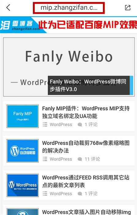 FanlyMIP主题+FanlyMIP插件收费版打包出售