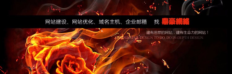 网络公司源码-鞍山鼎豪网络公司提供-域名注册|虚拟主机|网站建设|网站优化|网络推广