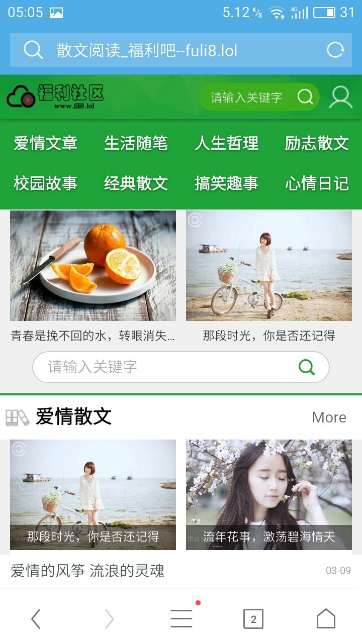 柯林程序手机论坛模板