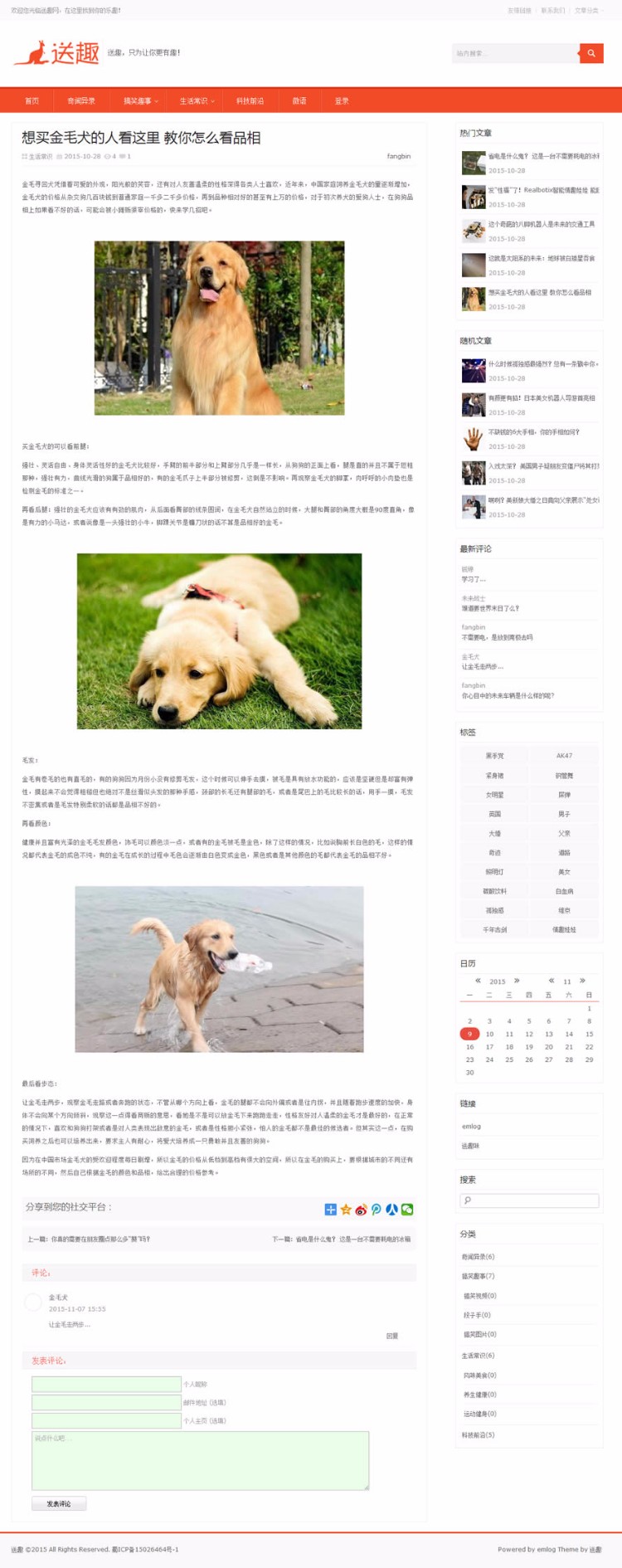 emlog 橙色cms主题图片主题博客主题 