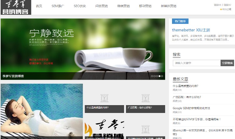 李彦军SEOSEM营销博客源码出售 