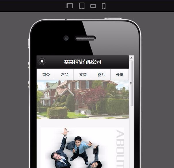 成品网站系统，支持试用，现有600多套成品网站.免费赠送域名、手机微网站