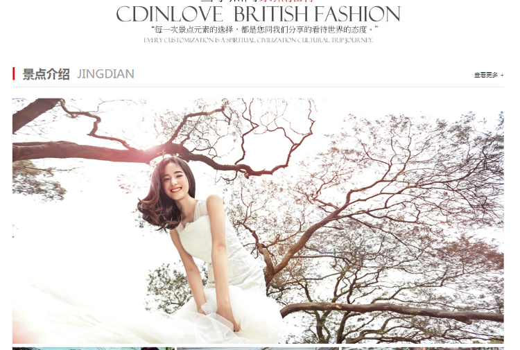 织梦大气婚纱影楼网站整站带演示数据提供基础优化服务hc028 