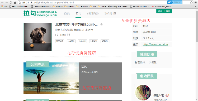 仿拉勾网 招聘类网站适用 界面美观大方 thinkPHP内核开发功能完整-包安装