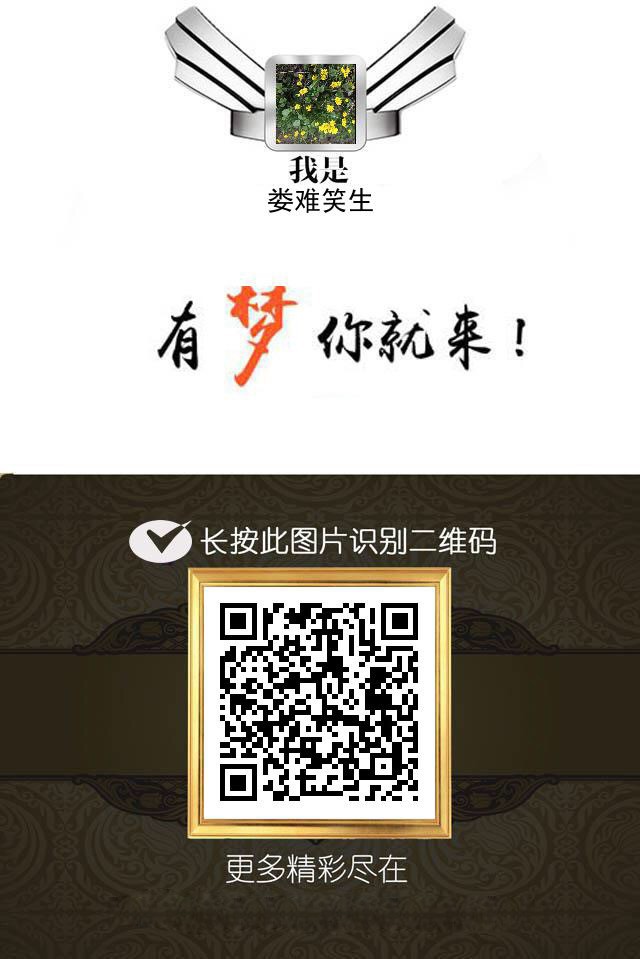 三级销售系统(标准版)(带绩效分红)一键提现,转帐,在线充值等等功能。后