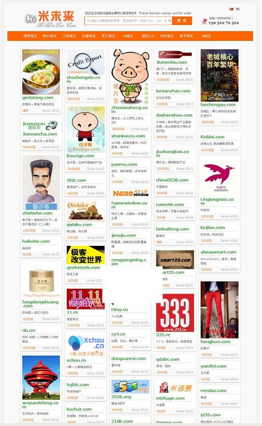 专业域名米表,带LOGO介绍