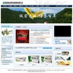 网站源码,盘龙制药集团有限公司源码