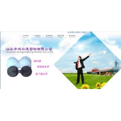 网站源码,鸿兴通塑料公司源码