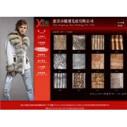 腾飞毛皮有限公司源码